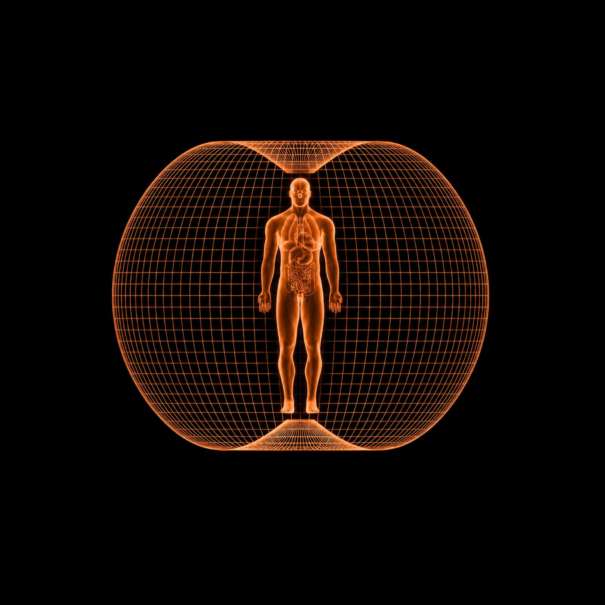 Human biofield torus diagram