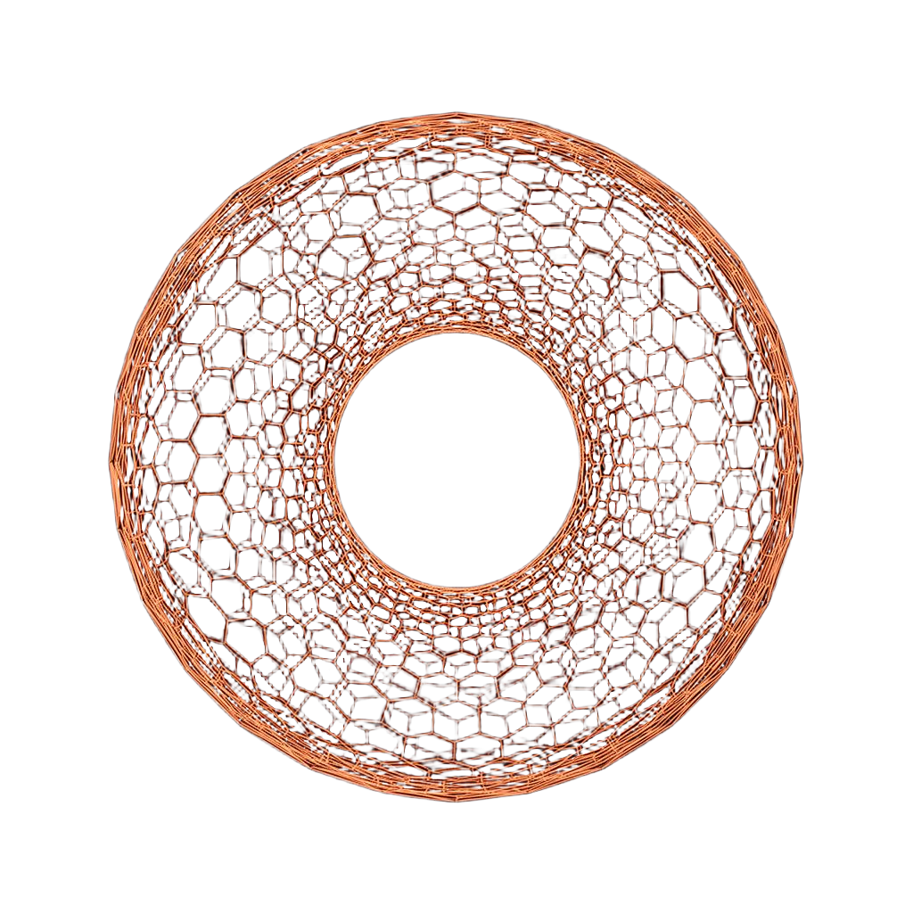 Torus field